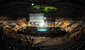 UFC Fighters Showcase: Champions, Rising Stars, and Dominant Performances